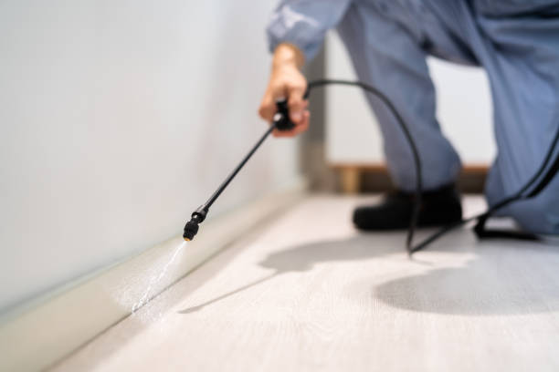 Licensed Fumigation Services service in Frankfort, OH - Nex Pest Control