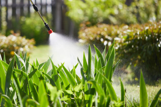 24/7 Emergency Fumigation Services experts in Frankfort, OH