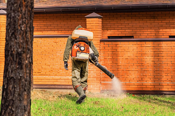Trusted Cockroach Control service in Frankfort, OH - Nex Pest Control